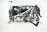 Tauwetter - oder die Fortbewegungsart von Schnee 1994  Monotypie / Collage 49 x 63 cm